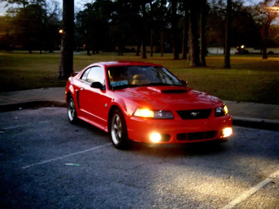 DSCF2270.webp