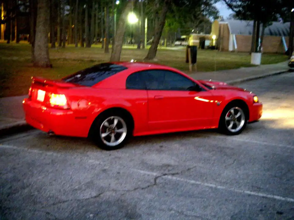 DSCF2271.webp