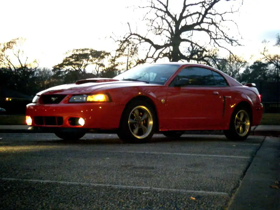 DSCF2278.webp