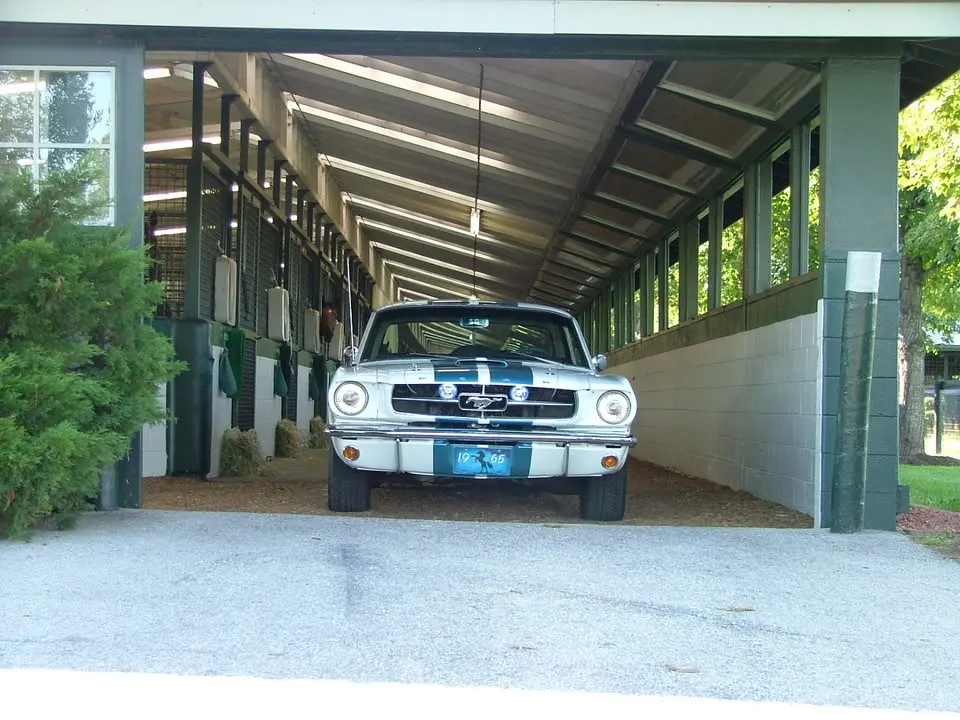 DSCF2319.webp