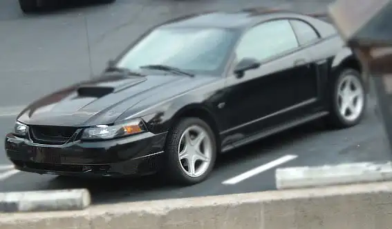 DSCF2383.webp