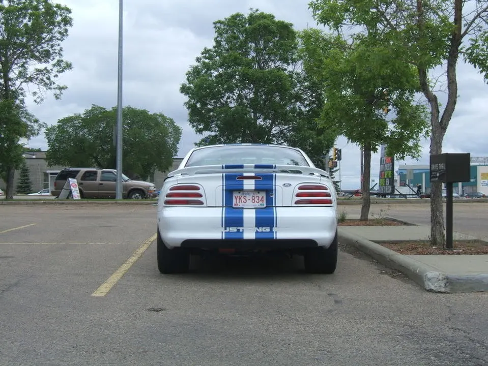 DSCF2401.webp