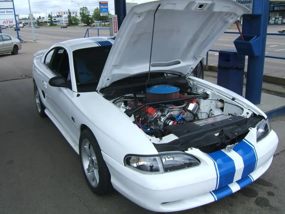 DSCF2408.webp