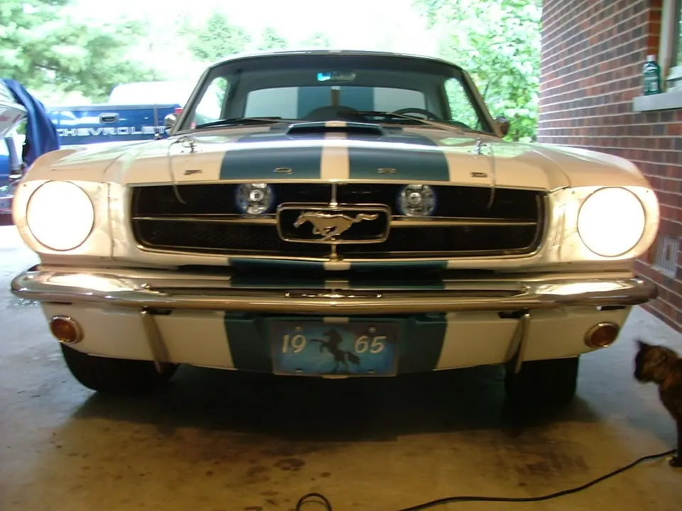 DSCF2453.webp