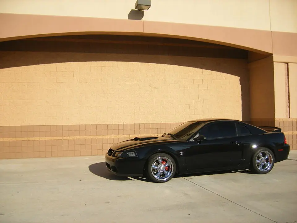 DSCF2532.webp