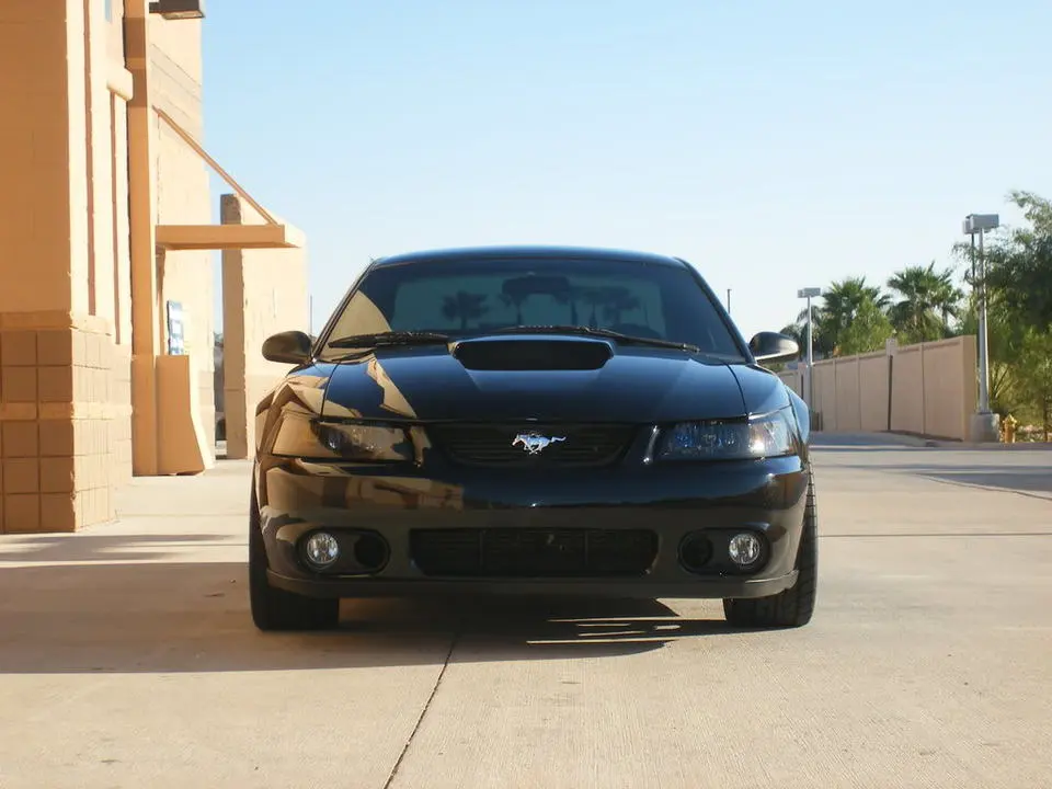 DSCF2536.webp
