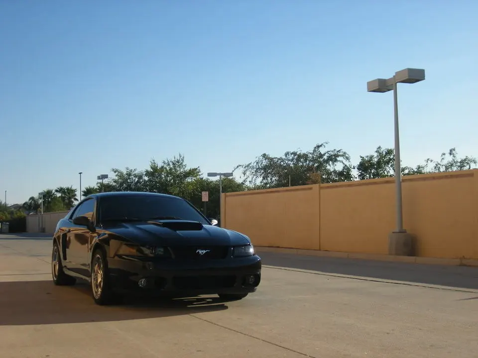 DSCF2537.webp