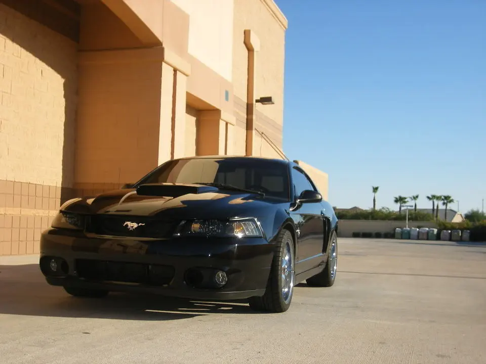 DSCF2541.webp