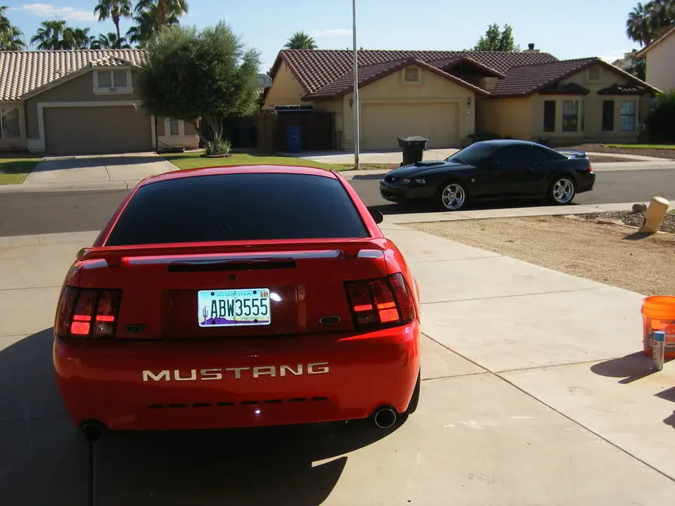 DSCF2591.webp