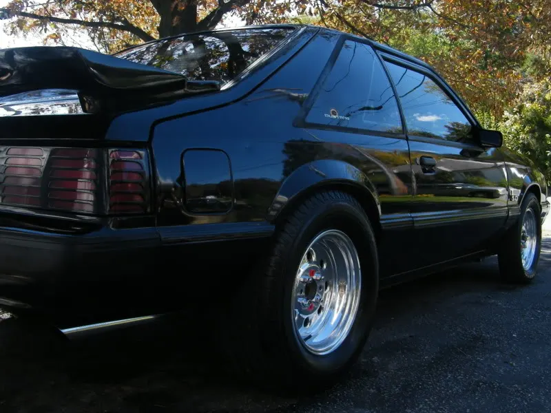 DSCF2880.webp