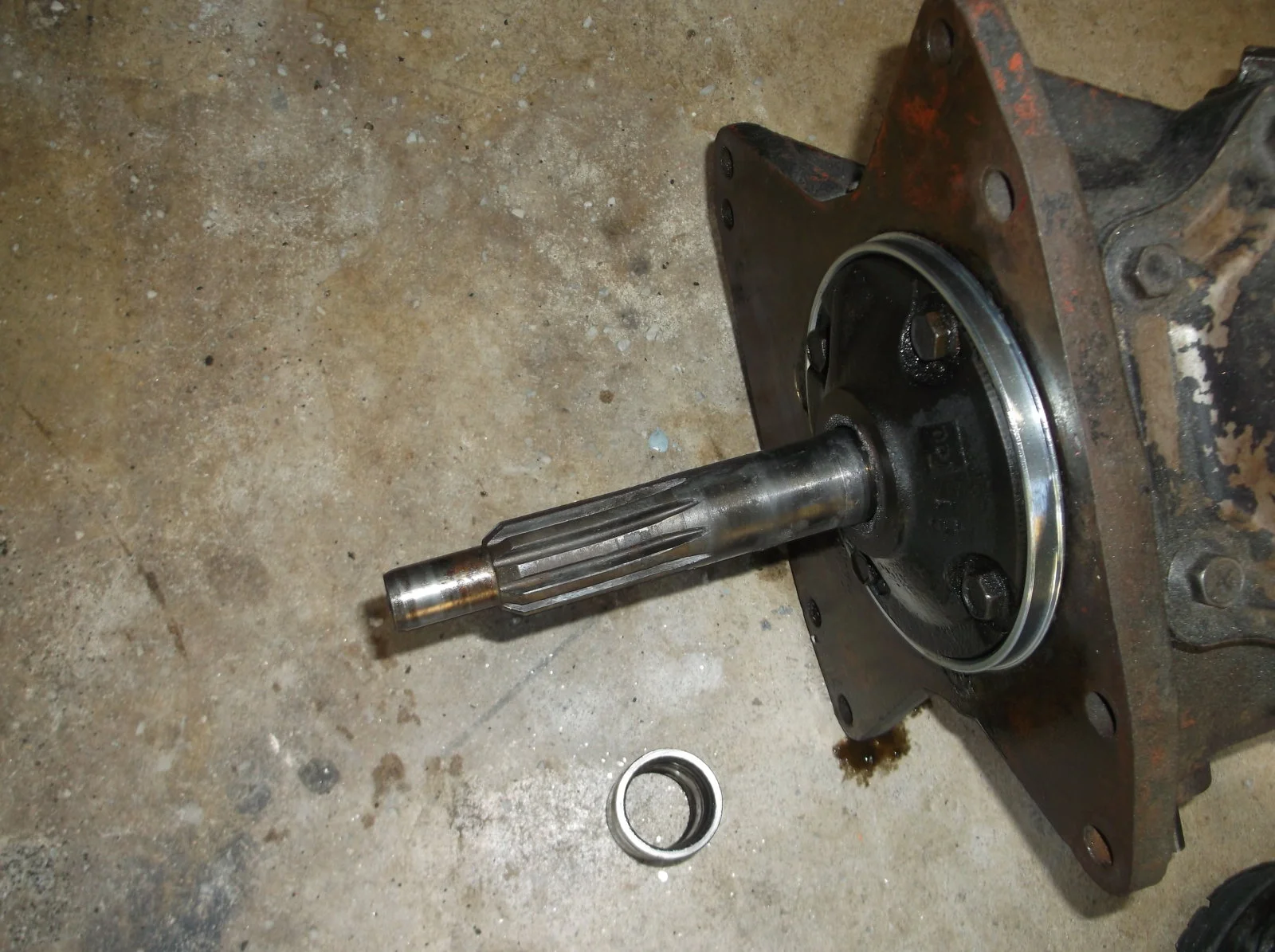 DSCF3565.webp