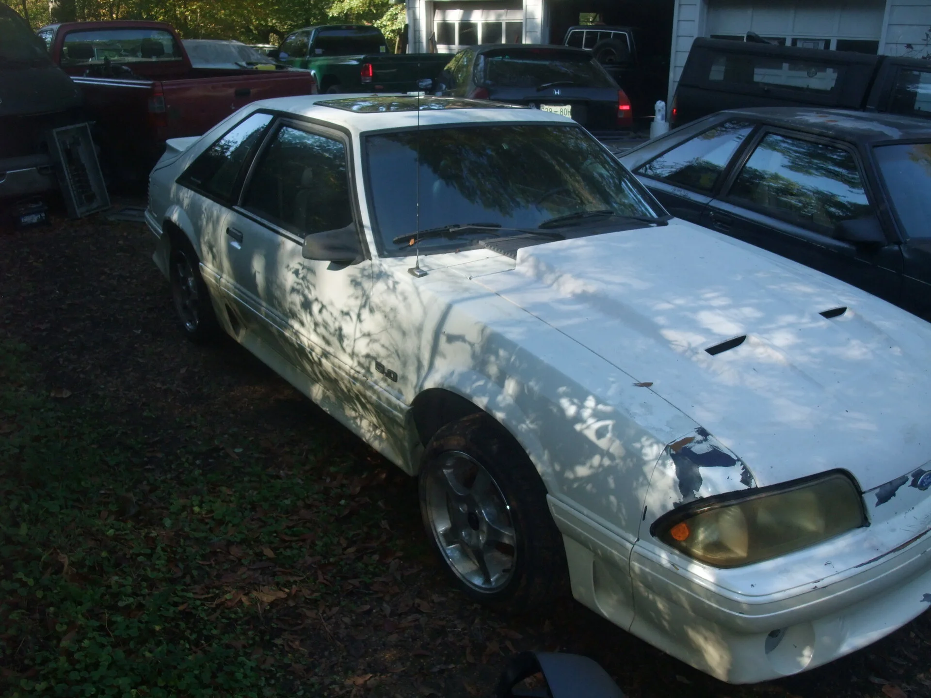 DSCF3776.JPG