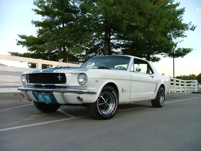 DSCF3892.webp