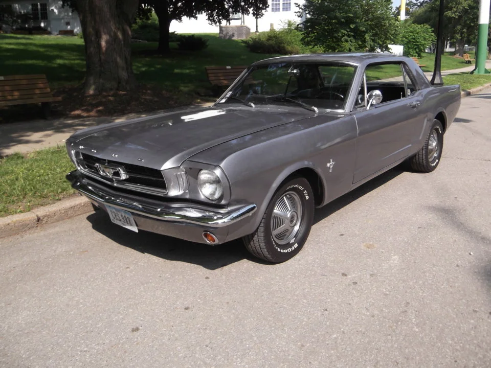 DSCF3976.webp