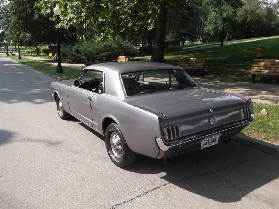 DSCF3977.webp