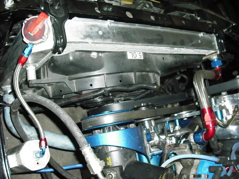 DSCF40041.webp