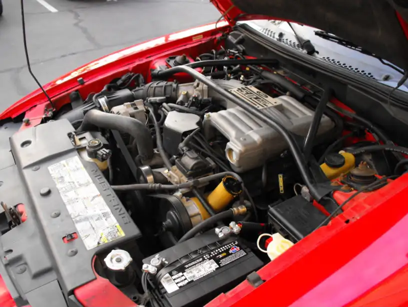 DSCF4065.webp