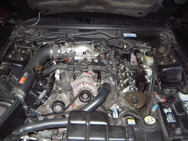 DSCF4516.webp