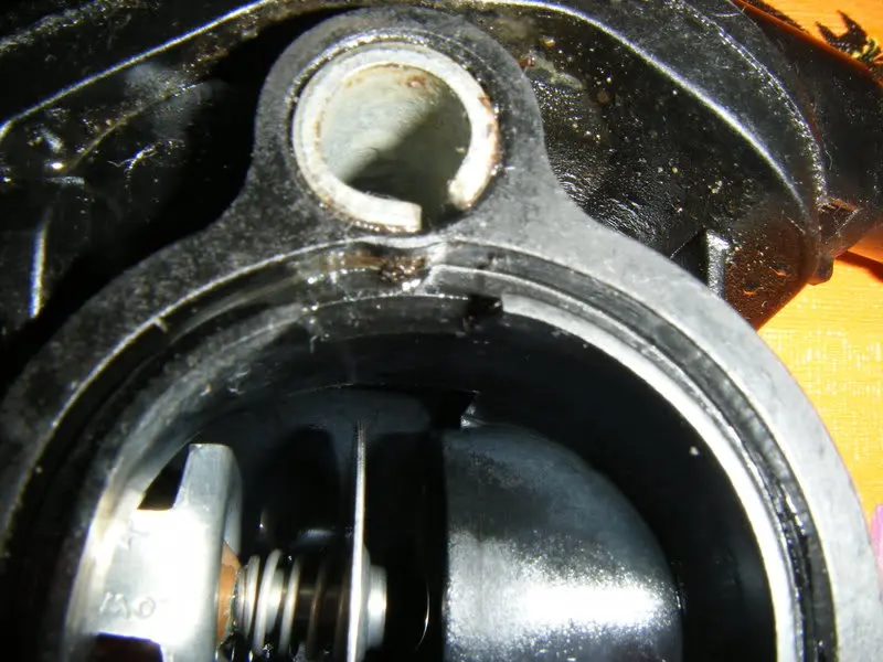 DSCF4906.webp