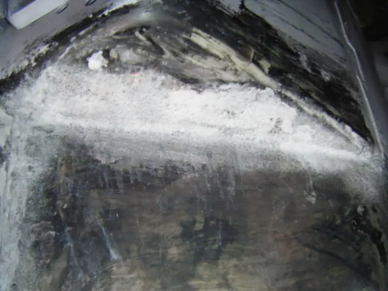 DSCF5281.webp