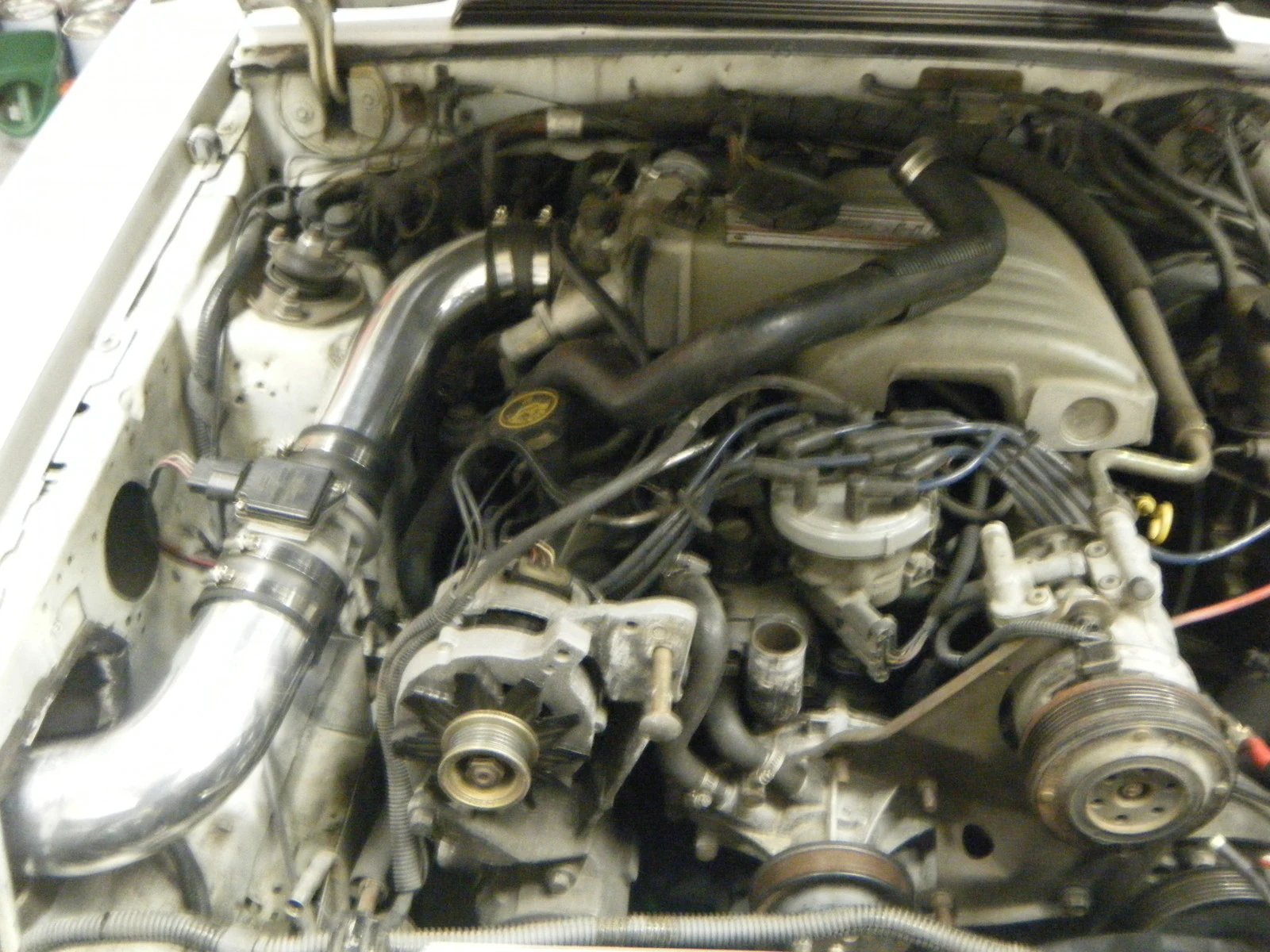 DSCF5434.webp