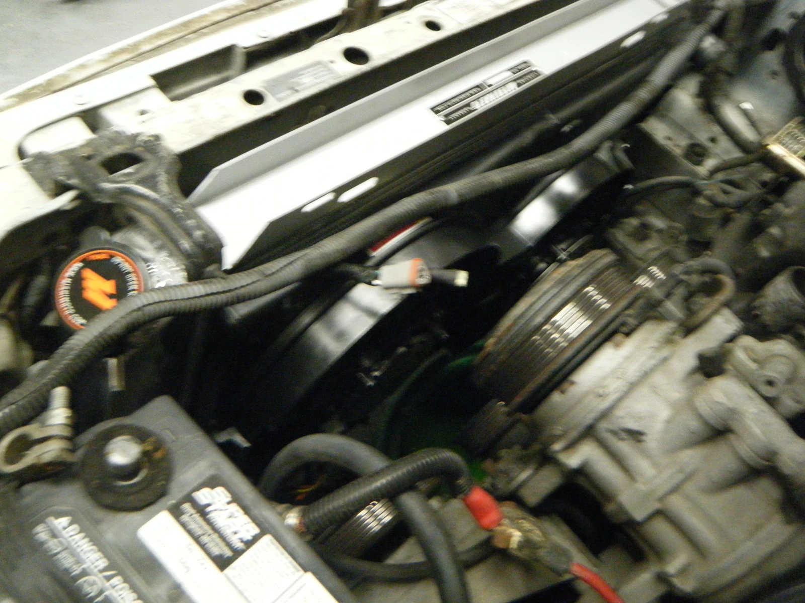 DSCF5436.webp