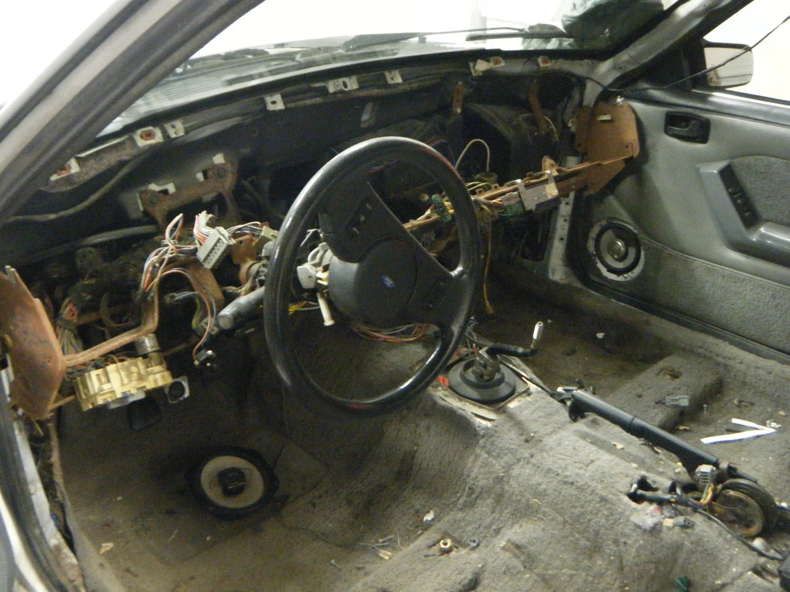 DSCF5437.webp