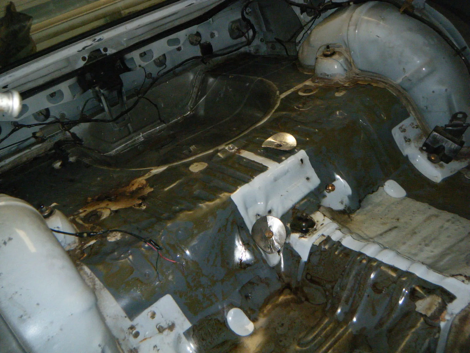 DSCF5442.webp