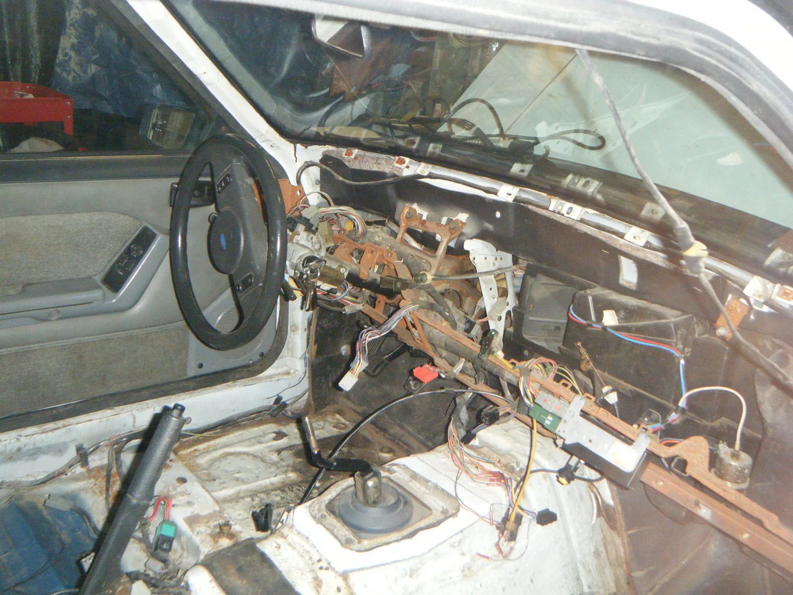 DSCF5446.webp