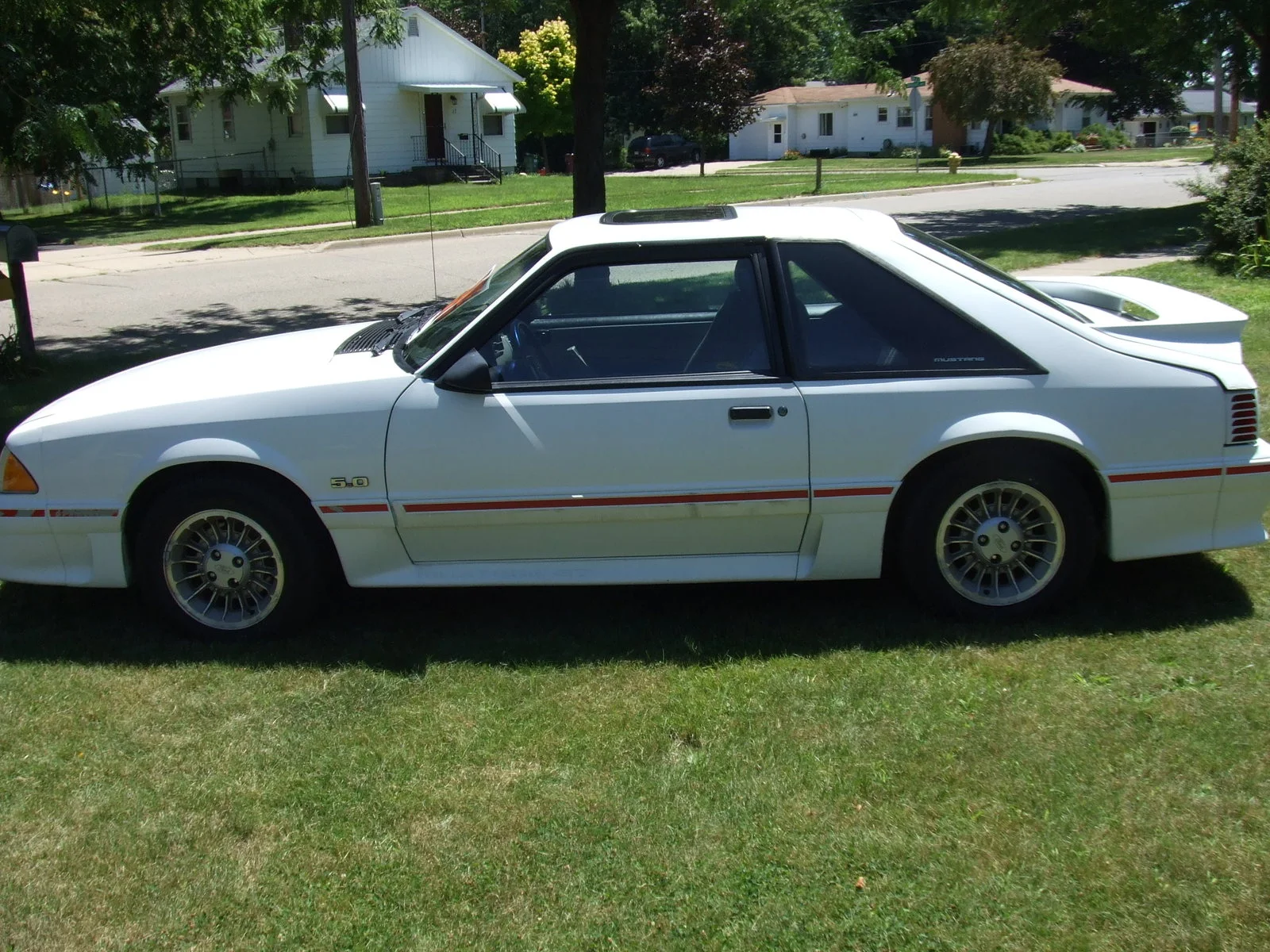 DSCF5835.webp