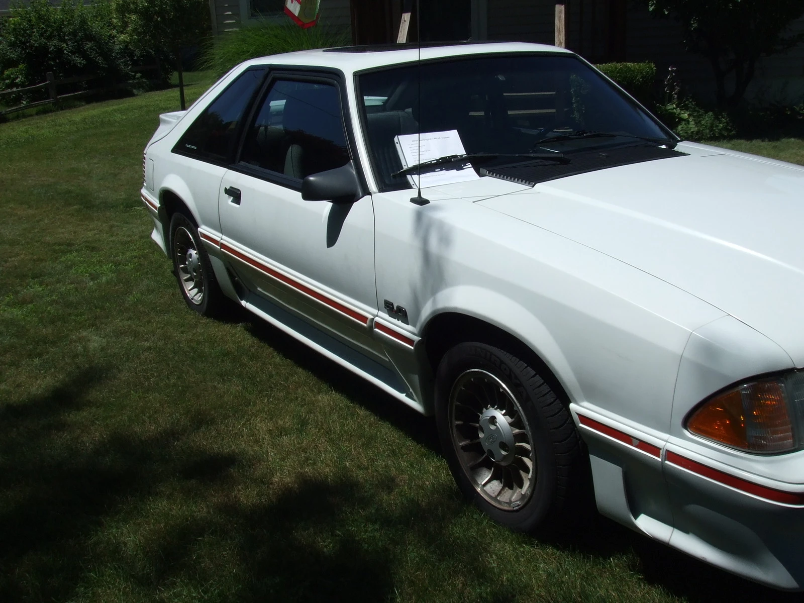 DSCF5837.webp