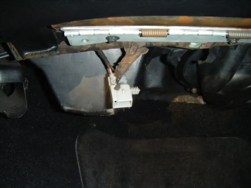 DSCF6197.webp