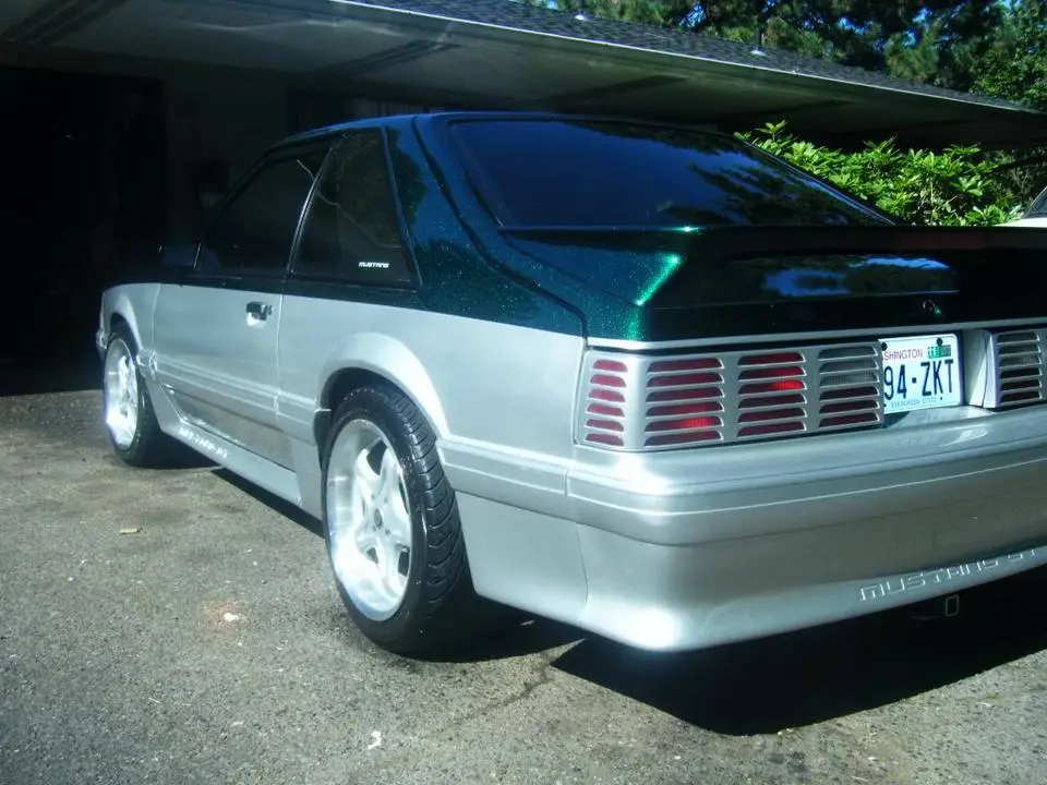 DSCF7025.webp