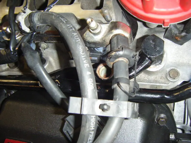 DSCF7026.webp