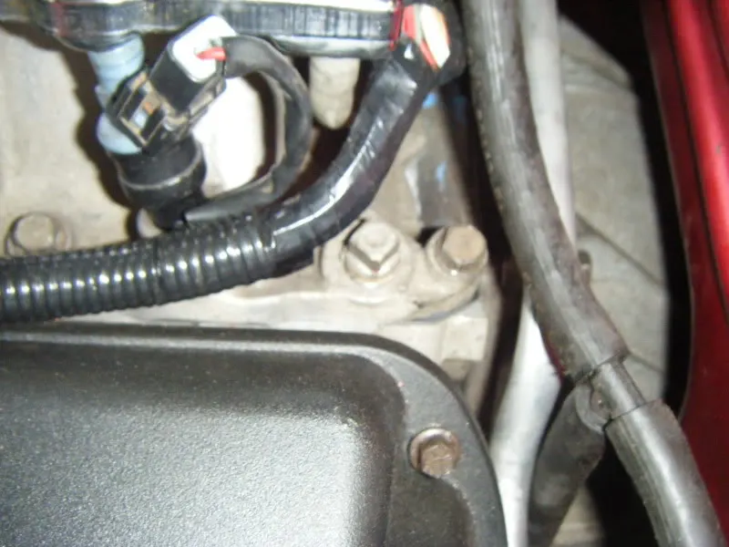 DSCF7029.webp