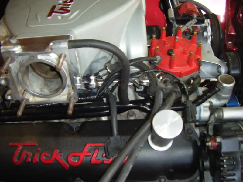 DSCF7039.webp