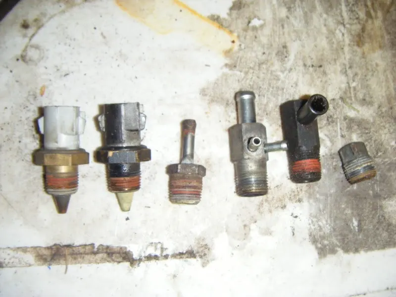 DSCF7042.webp