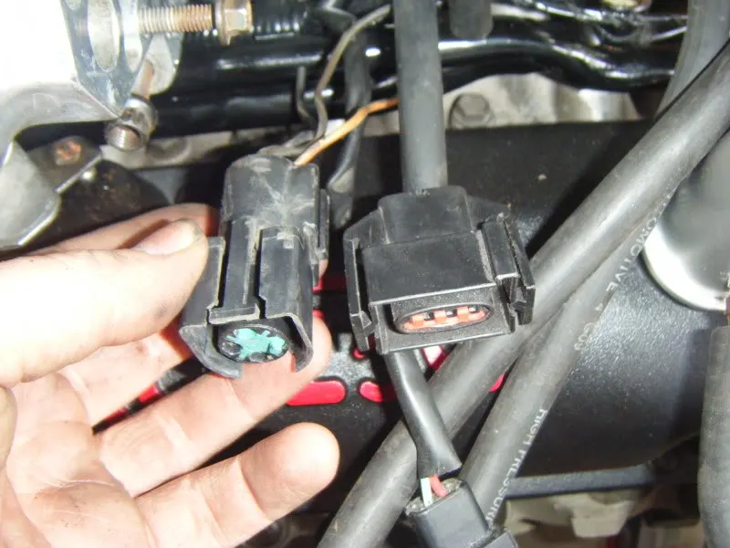 DSCF7054.webp