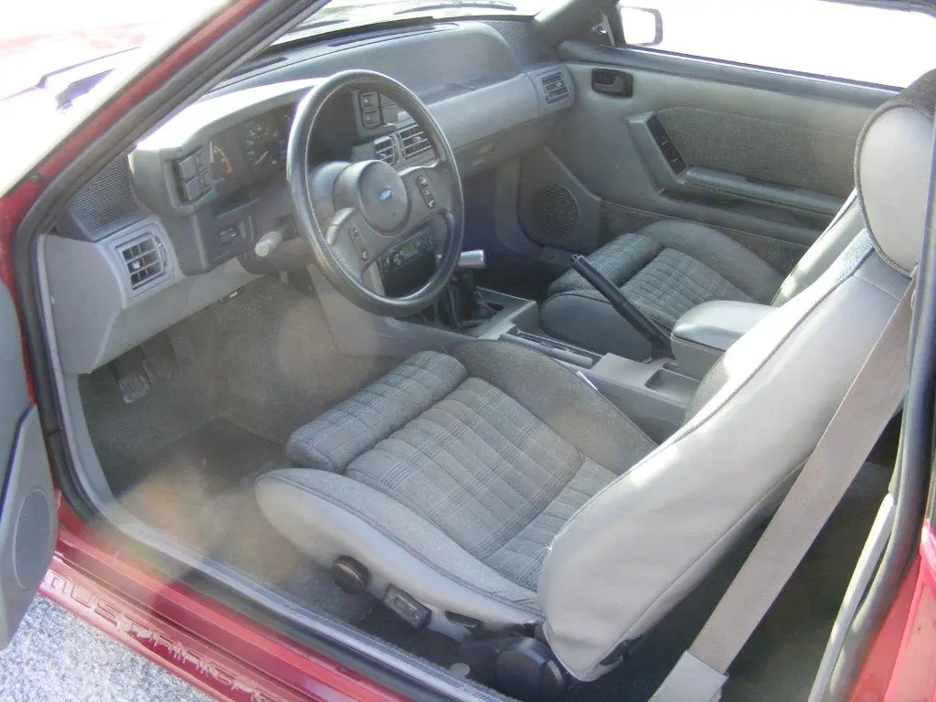 DSCF7116.webp