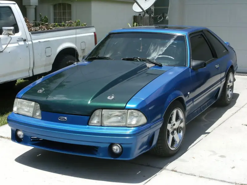 DSCF7132.webp