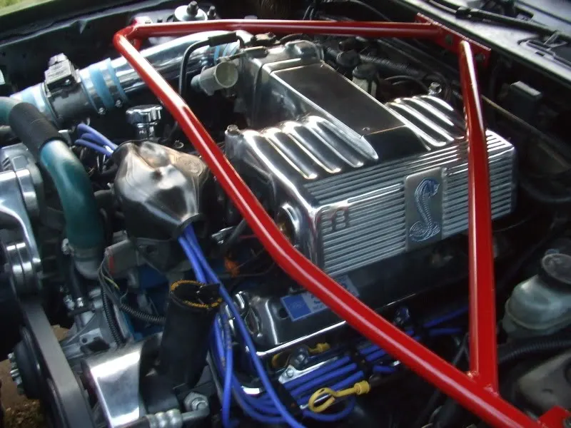 DSCF7971.webp