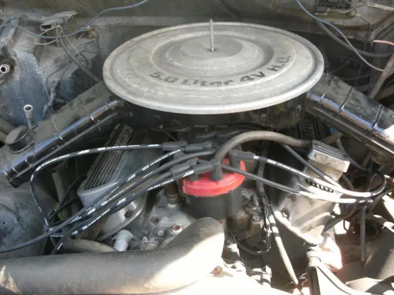 DSCF8184.webp