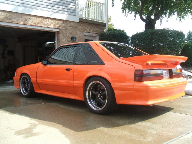 DSCF8445.webp