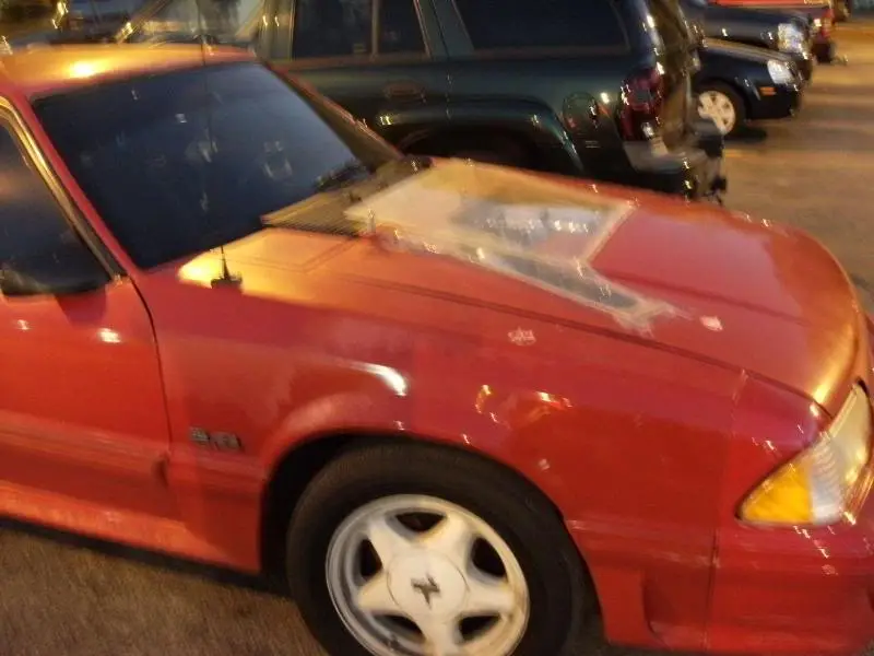 DSCF9343.webp
