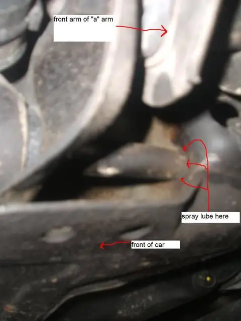 dscf95405yv.webp