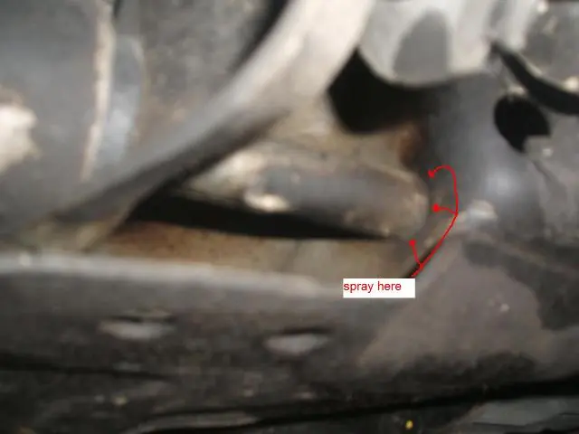 dscf9541a9ps.webp