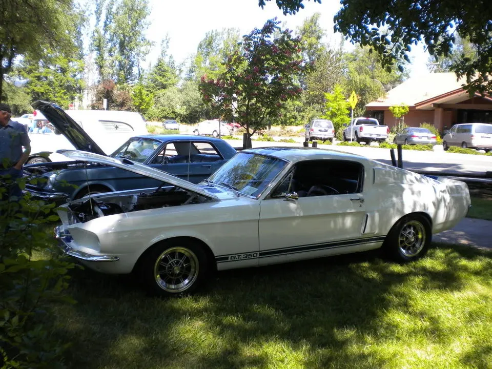 DSCN0005.webp