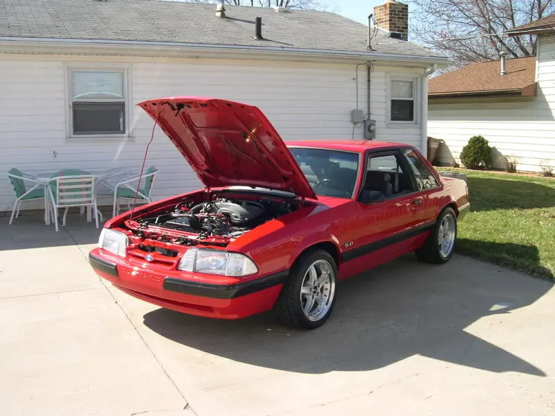 DSCN0011.webp