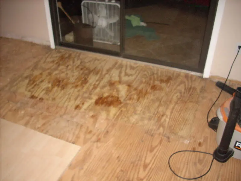 DSCN0027.webp