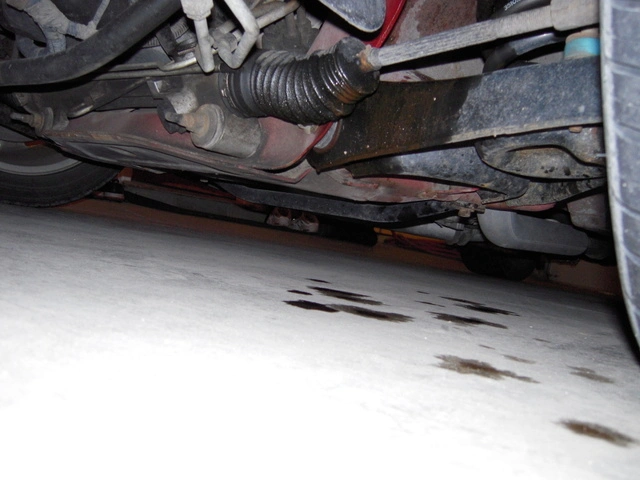 dscn0033.webp